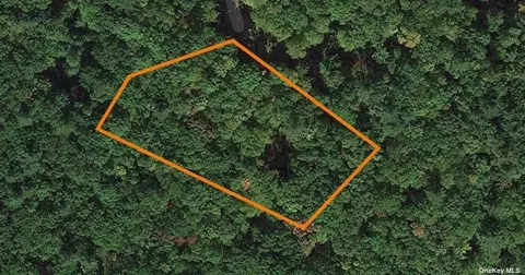 92 Gregory Rd, Lumberland, NY 12737