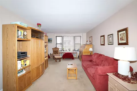 1 Birchwood Ct #3A, Mineola, NY 11501