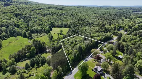 0 State Route 42, Neversink, NY 12765