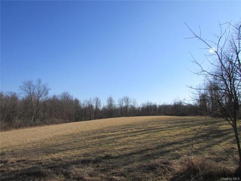 Quaker Street, Plattekill, NY 12568