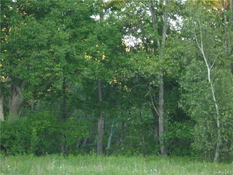 55 Beech St, Bethel, NY 12778 photo 1