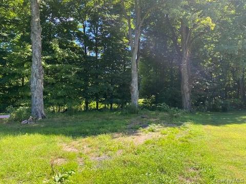 414 Maple Hill Dr, Cornwall, NY 12518 photo 1