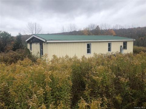 231 Meyer Rd, Callicoon, NY 12791 photo 1