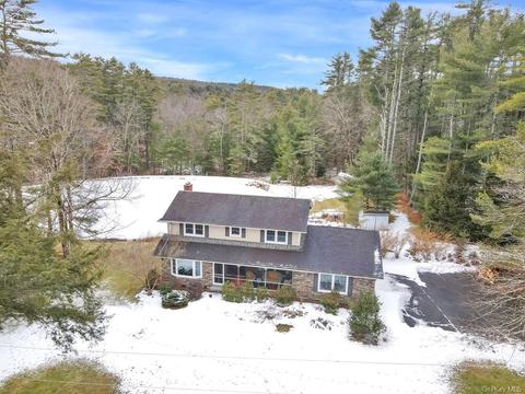 20 Steges Rd, Highland, NY 12743 photo 1