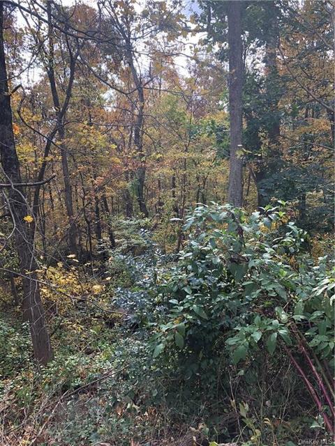 21 River Rd, Patterson, NY 10509 photo 1