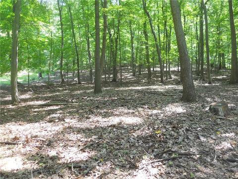 6 Westlin Ln, Cornwall, NY 12518 photo 1