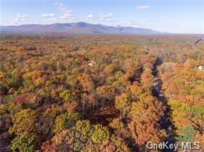 215 Ruby, Kingston, NY 12401 photo 1
