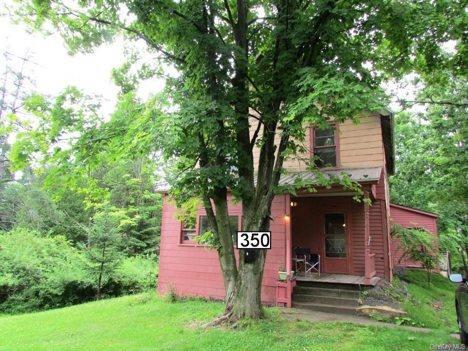 350 Chestnut St, Liberty, NY 12754 36 Photos MLS 6128771 Movoto