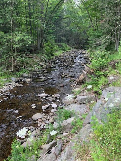 309 Upper Pine Kill Rd, Mamakating, NY 12790 photo 1