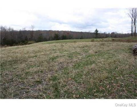 85 Sands Rd, Wallkill, NY 10941 photo 1
