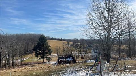 365 E Hill Rd, Callicoon, NY 12748 photo 1