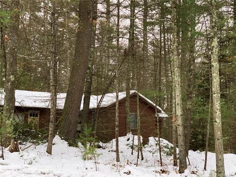 241 Forestburgh Rd, Forestburgh, NY 12777 photo 1