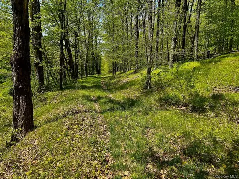 4 W Hill Rd, Austerlitz, NY photo 16