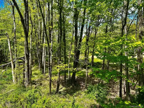 4 W Hill Rd, Austerlitz, NY photo 15