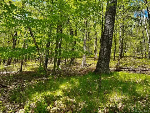 4 W Hill Rd, Austerlitz, NY photo 18