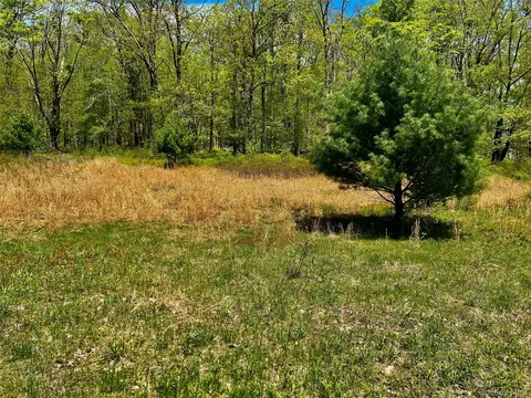 4 W Hill Rd, Austerlitz, NY photo 12