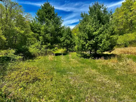 4 W Hill Rd, Austerlitz, NY photo 13
