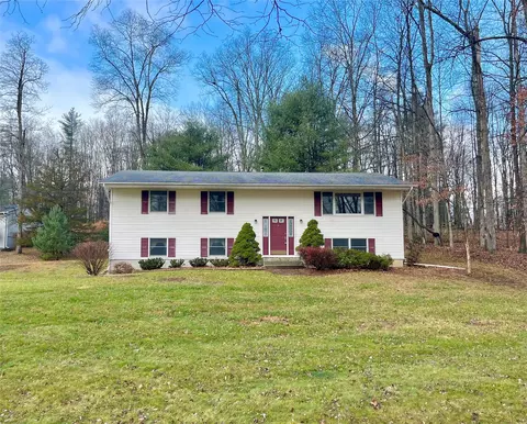 501 Burlingham Rd, Mamakating, NY 12721