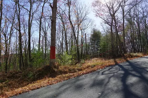 Caskey Road, Lumberland, NY 12737