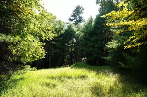 lot4 Hawk Ridge Ct, Lumberland, NY 12737