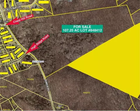 Baker Road, Beekman, NY 12533