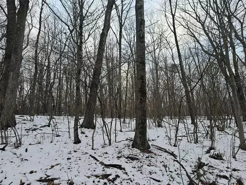 lot20 001 Shawanga Lodge Rd, Mamakating, NY 12790