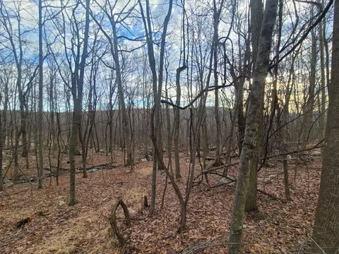 Ferguson Road, Mamakating, NY 12721