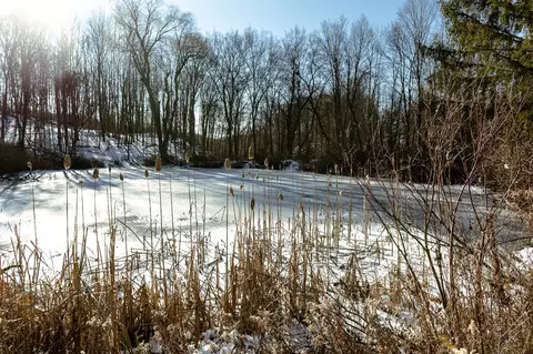 tbd Woods Dr, Ancram, NY
