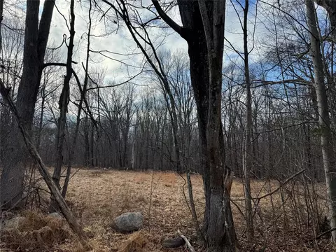 Quannacut Road, Shawangunk, NY 12566
