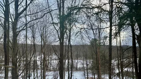 tbd Beaver Lake Rd, Rockland, NY 12758