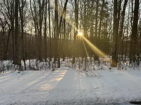 lot21 30 Pond Rd, Neversink, NY 12765