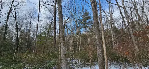 lot24 Brook Dr, Tusten, NY 12764