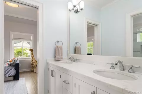 Bath - 56 Intervale Pl, Rye, NY 10580 photo 4 of 4