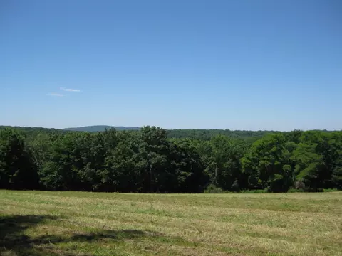 Chestnut Ridge Road, Dover, NY 12522