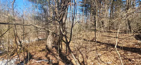 63 Harris Rd, Thompson, NY 12742