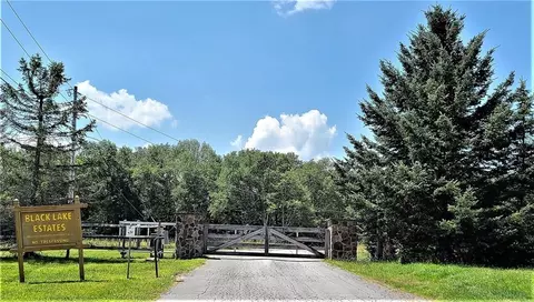 lot6 Deer Meadow Rd, Bethel, NY 12786