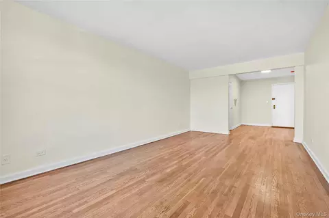 Living - 10 E 43rd St #4K, Brooklyn, NY 11203 photo 3 of 5