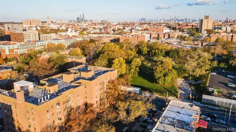 View/Area - 10 E 43rd St #4K, Brooklyn, NY 11203 photo 3 of 4