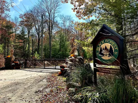 Black Forest Road, Lumberland, NY 12737
