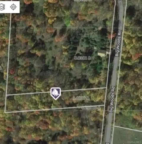 Big Woods Road, Thompson, NY 12742