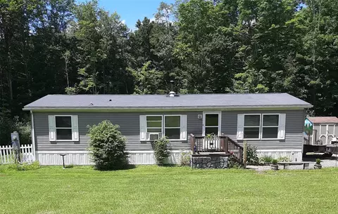 60 Parks Rd, Livingston Manor, NY 12758