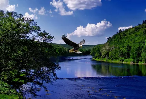 1684 Kinney Rd, Fremont, NY 12760