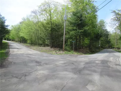Mountain Top Road, Mamakating, NY 12790
