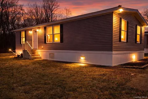 20 Shore Ln, Mamakating, NY 12722