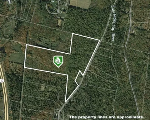 0 Big Woods Rd, Thompson, NY 12742