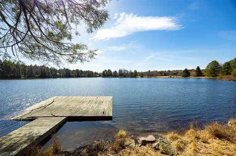168 Deer Meadow Rd, Bethel, NY 12720