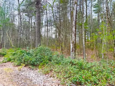 lot34 Pine Kill Road Pine Kill Rd, Mamakating, NY 12790