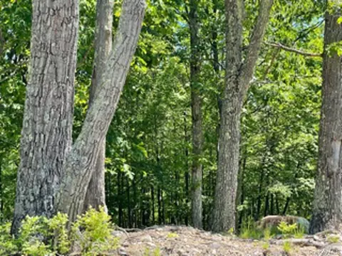 Us-209, Mamakating, NY 12790