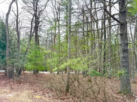 lot14 Magnolia Dr, Lumberland, NY 12737
