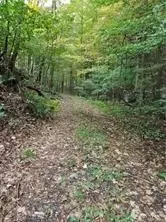 235 Mt Zion Rd, Marlboro, NY